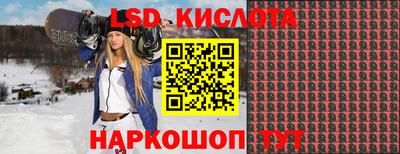 стаф Новодвинск