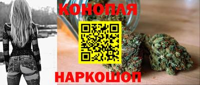 PSILOCYBIN Новокубанск