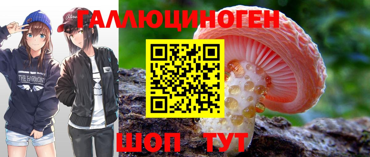 Псилоцибиновые грибы Cubensis  Вход с VPN  Сердобск 